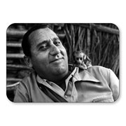 ������ ��������� ���������. ����� persona Alberto Sordi