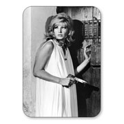������ ��������� ���������. ����� persona Monica Vitti