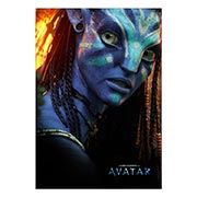 ������ ���������� ������� Avatar