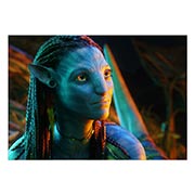 ������ ���������� ������� Avatar