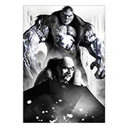 ���������� ������ �� �����/����� Batman