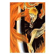 ���������� ������ �� �����/����� Bleach
