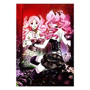 ���������� ������ �� �����/����� Shiki