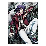 ���������� ������ �� �����/����� Shiki