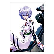 ���������� ������ �� �����/����� Neon Genesis Evangelion