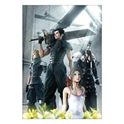 ���������� ������ �� �����/����� Final Fantasy