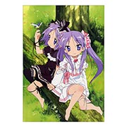 ���������� ������ �� �����/����� Lucky Star