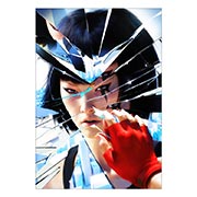 ���������� ������ �� �����/����� Mirror's Edge