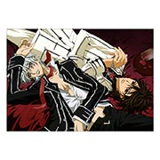 ���������� ������ �� �����/����� Vampire Knight
