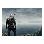������ ���������� ������� Witcher