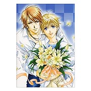 ���������� ������ �� �����/����� Higuri You Art