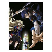 ���������� ������ �� �����/����� Code Geass: Hangyaku no Lelouch