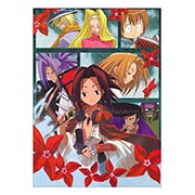���������� ������ �� �����/����� Shaman King