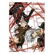 ���������� ������ �� �����/����� Vampire Knight