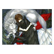���������� ������ �� �����/����� Vampire Knight
