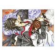 ���������� ������ �� �����/����� Vampire Knight