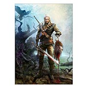 ���������� ������ �� �����/����� Witcher