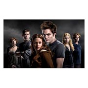������ ����������� ������� Twilight