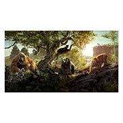������ ����������� ������� Jungle Book