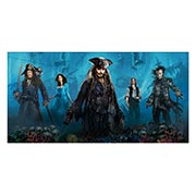 ������ ����������� ������� Pirates of the Caribbean