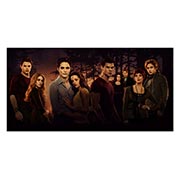 ������ ����������� ������� Twilight