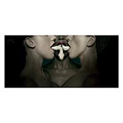������ ����������� ������� American Horror Story