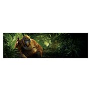 ������ ����������� ������� Jungle Book