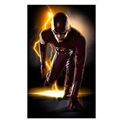 ������ ����������� ������� Flash