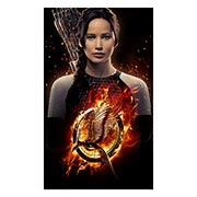 ������ ����������� ������� Hunger Games