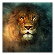 ������ ����������� ������� Chronicles of Narnia