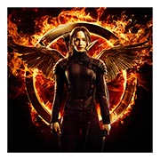 ������ ����������� ������� Hunger Games