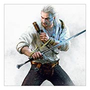 ������ ����������� ������� Witcher