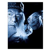 ������ ����������� (�� ������ ������) Harry Potter