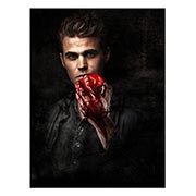 ������ ����������� (�� ������ ������) Vampire Dairies