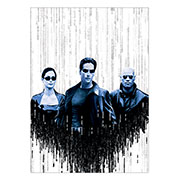 ������ ����������� (�� ������ ������) Matrix