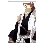 ������ �� �����/����� Bleach