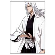������ �� �����/����� Bleach