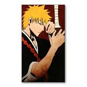 ��������� ������ �� �����/����� Bleach