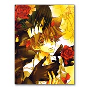 ��������� ������ �� �����/����� Kateikyo Hitman Reborn!
