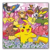 ������� ������ �� �����/����� Pokemon